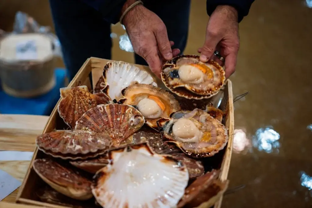 How Long Does Seafood Food Poisoning Last and What Are the Symptoms?