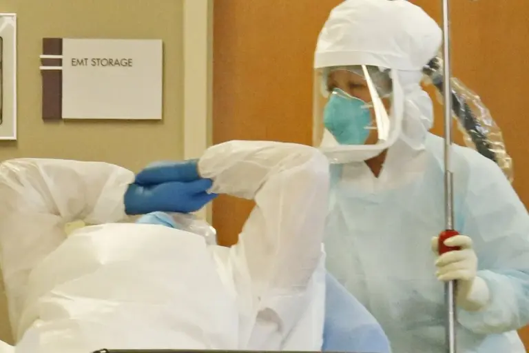 How Is Ebola Transmitted Between Humans and Animals?