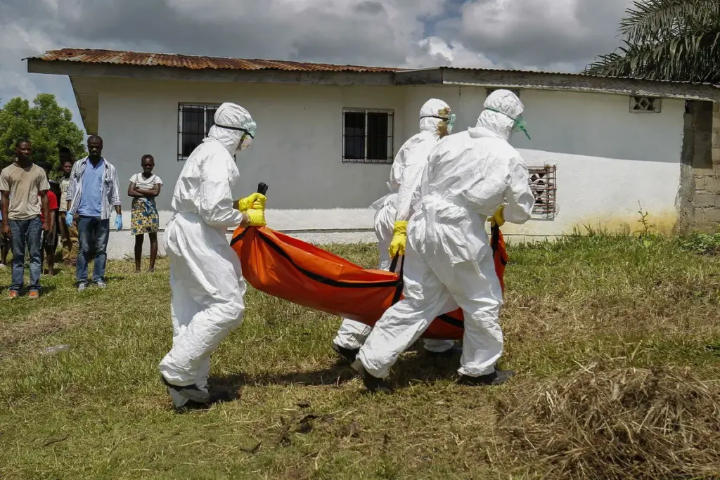 Ebola Outbreak: 7 Critical Facts About Cases, Deaths, and Origins