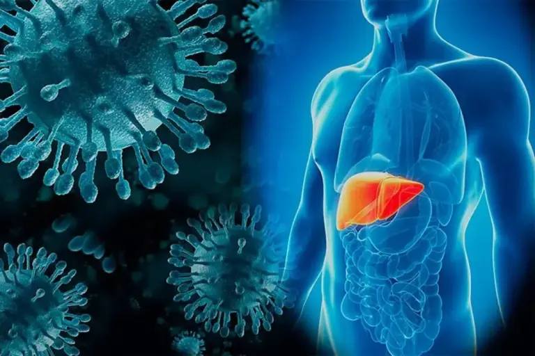 How Long Does Hepatitis B Survive Outside the Body?