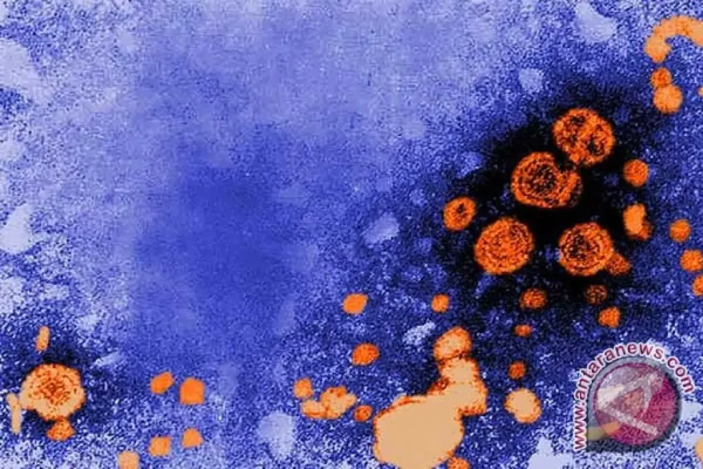 How Is Hepatitis B and C Transmitted: Causes and Prevention?