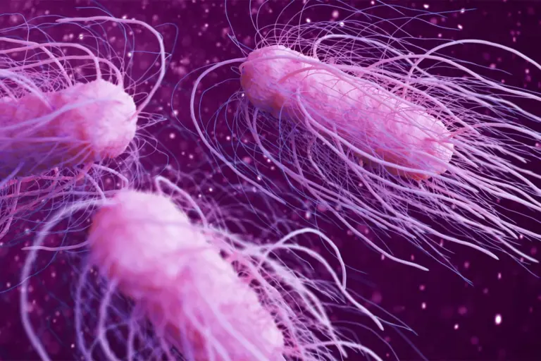 How Long Does Salmonella Last and When Do Symptoms Start?