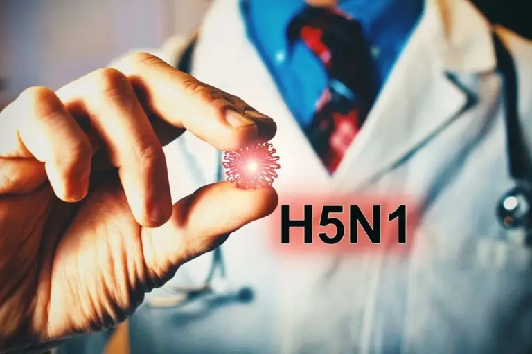 What Is H5N1 Bird Flu Pandemic and Why Should You Be Concerned?