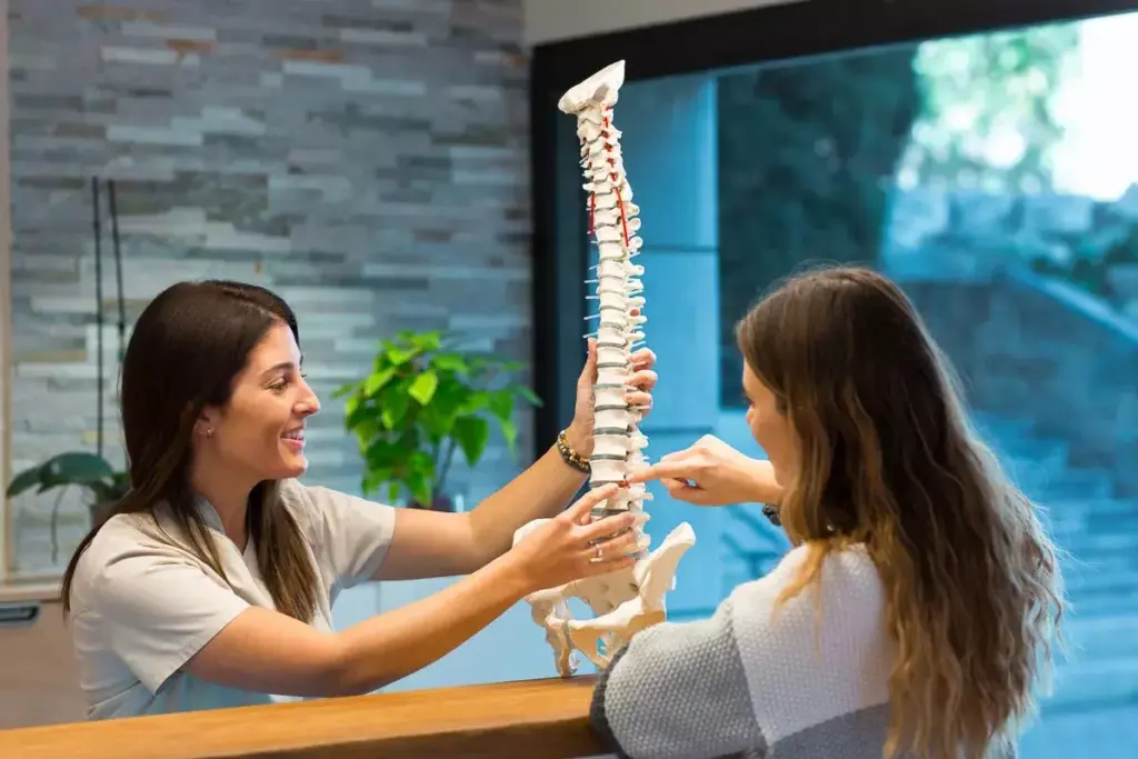 What Is a Chiropractor and How Does Chiropractic Care Work? 2 What Is a Chiropractor and How Does Chiropractic Care Work?