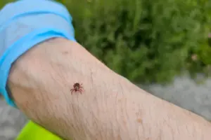 How to Manage Recurrent Lyme Symptoms and Fatigue