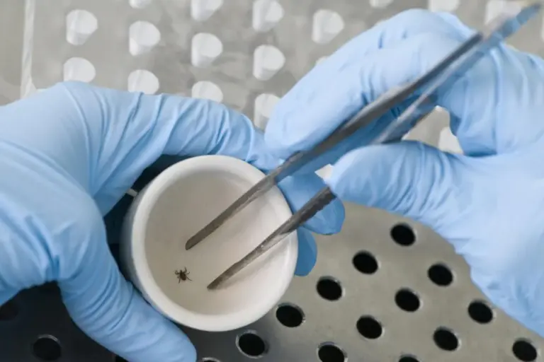 What Does Lyme Disease Fatigue Feel Like and How Long Does It Last?