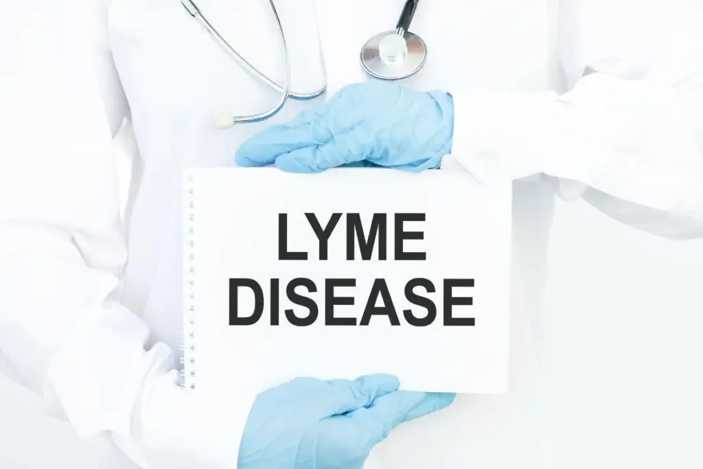 Can Lyme Disease Cause Hives? What You Need to Know