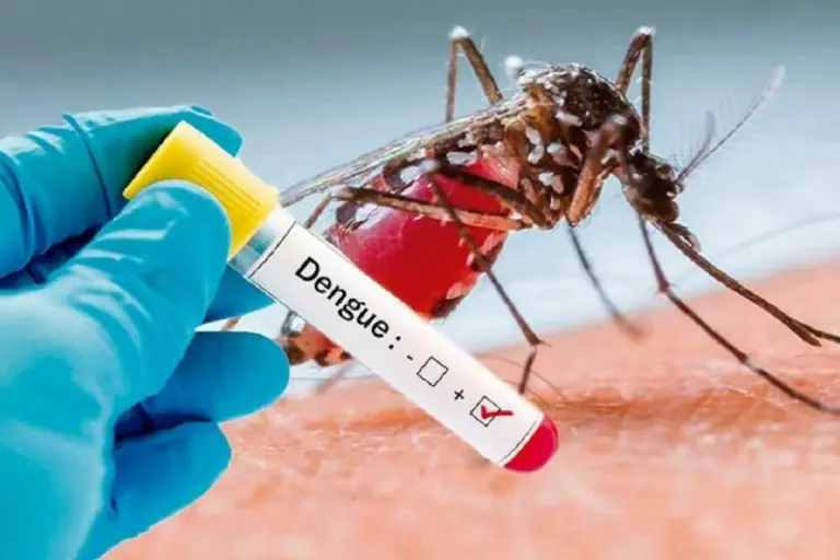 What’s the Difference Between Malaria and Dengue Fever?