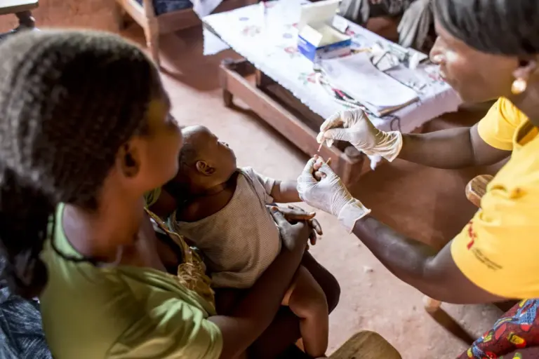 How to Understand Plasmodium Falciparum: The Malaria Parasite