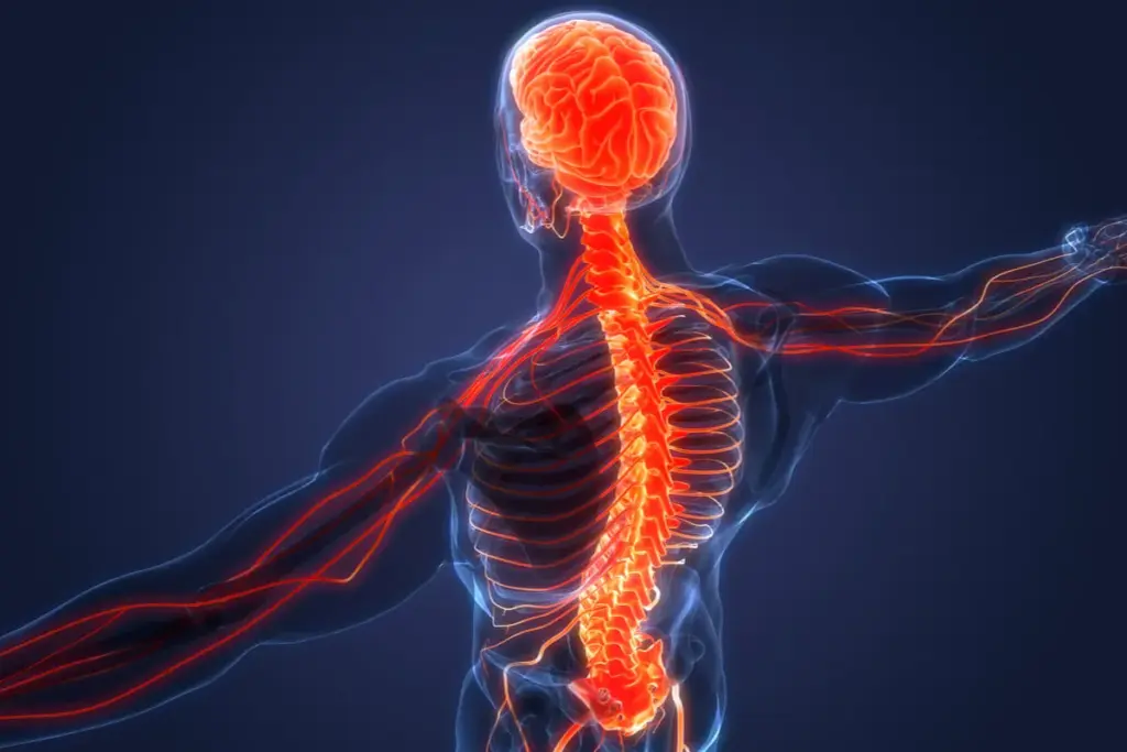 image 3 4 LIV Hospital