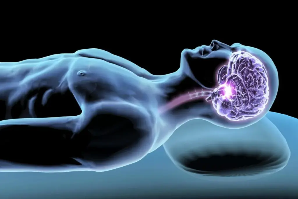 image 5 3 LIV Hospital