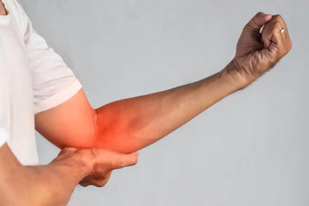 7 Major Muscles Near the Elbow: Anatomy Guide