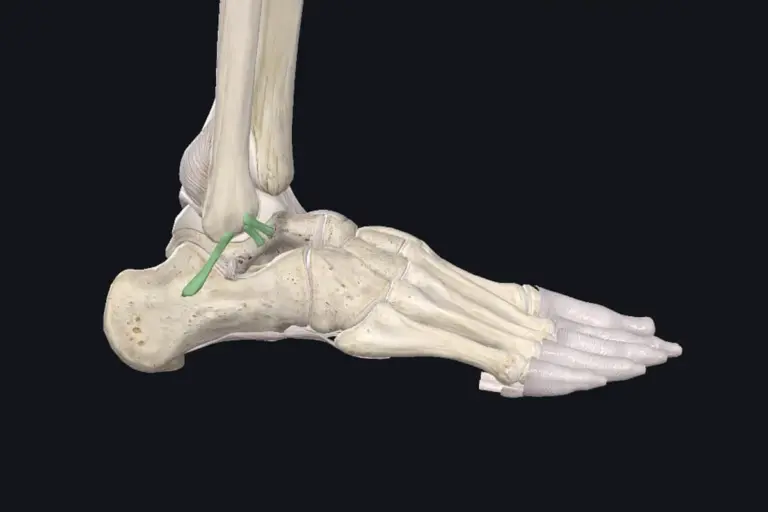 How to Treat a Calcaneofibular Ligament Tear