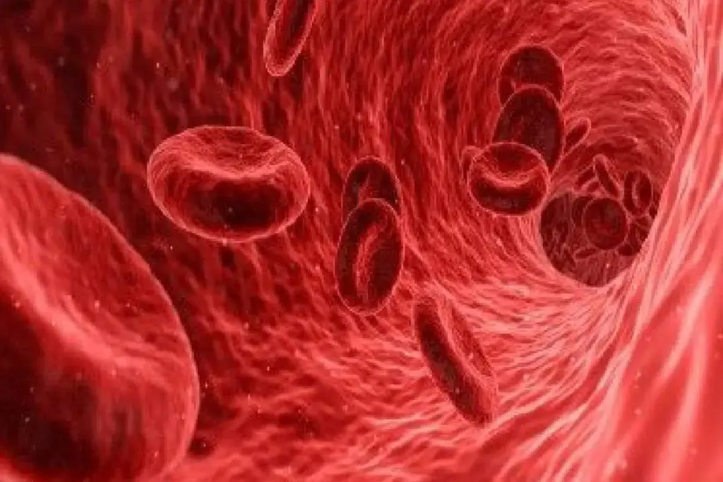 image 3 12 LIV Hospital