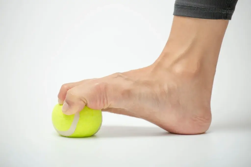 7 Key Ankle and Foot Muscles: Complete Anatomy Diagram