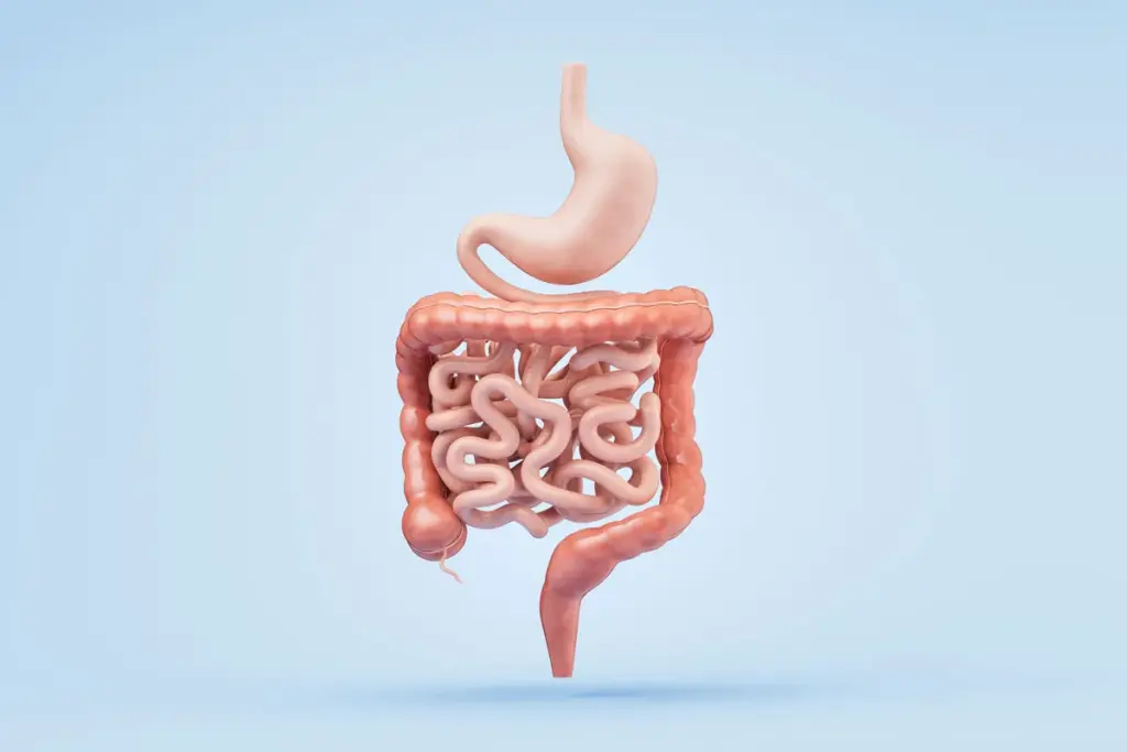 image 16 14 LIV Hospital