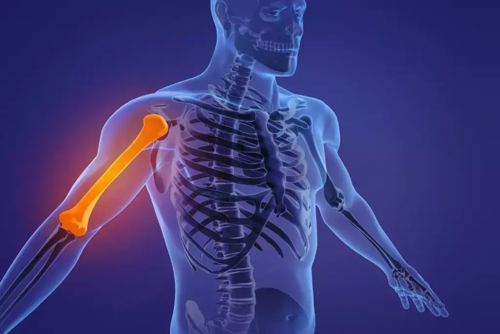 image 5497 LIV Hospital