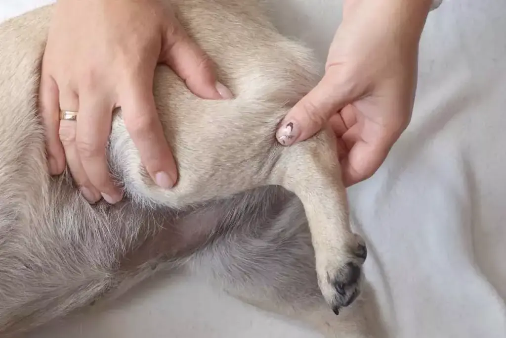 image 5589 LIV Hospital