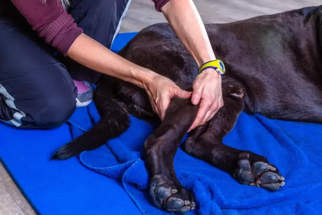 image 5590 LIV Hospital