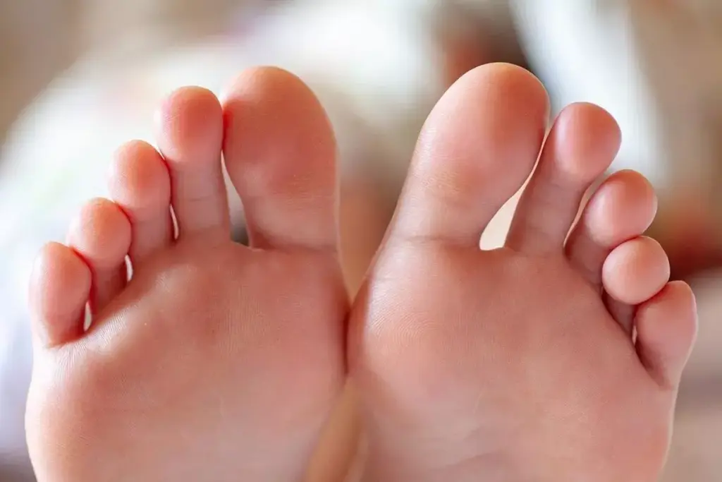 What Are the Names of Your Toes? A Complete Guide 2 image 5664 LIV Hospital