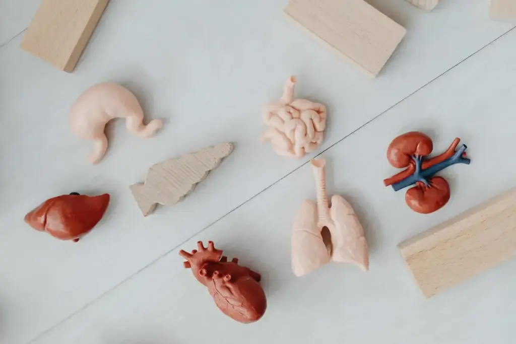 image 11 30 LIV Hospital