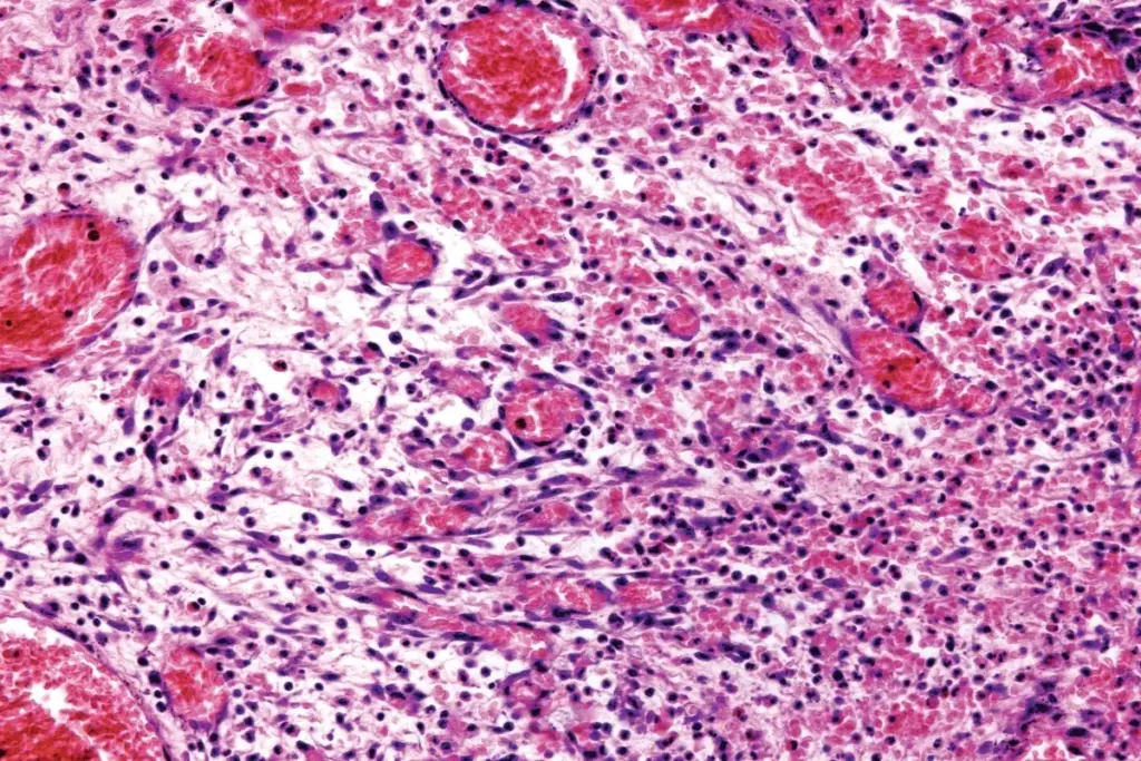 image 2 30 LIV Hospital