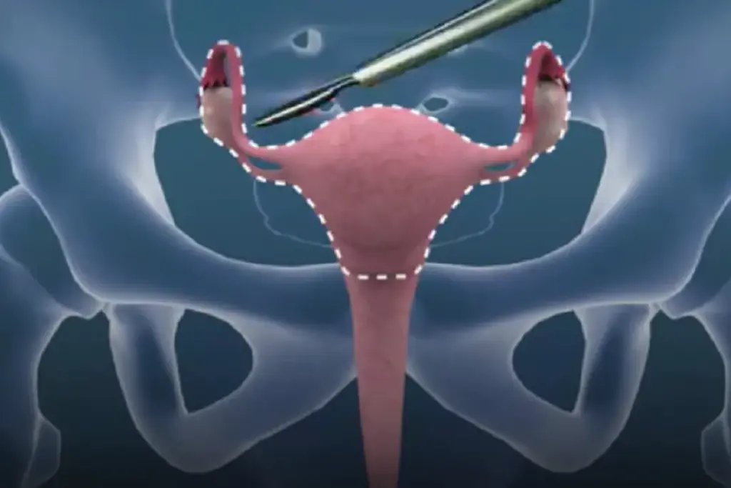 image 14 35 LIV Hospital