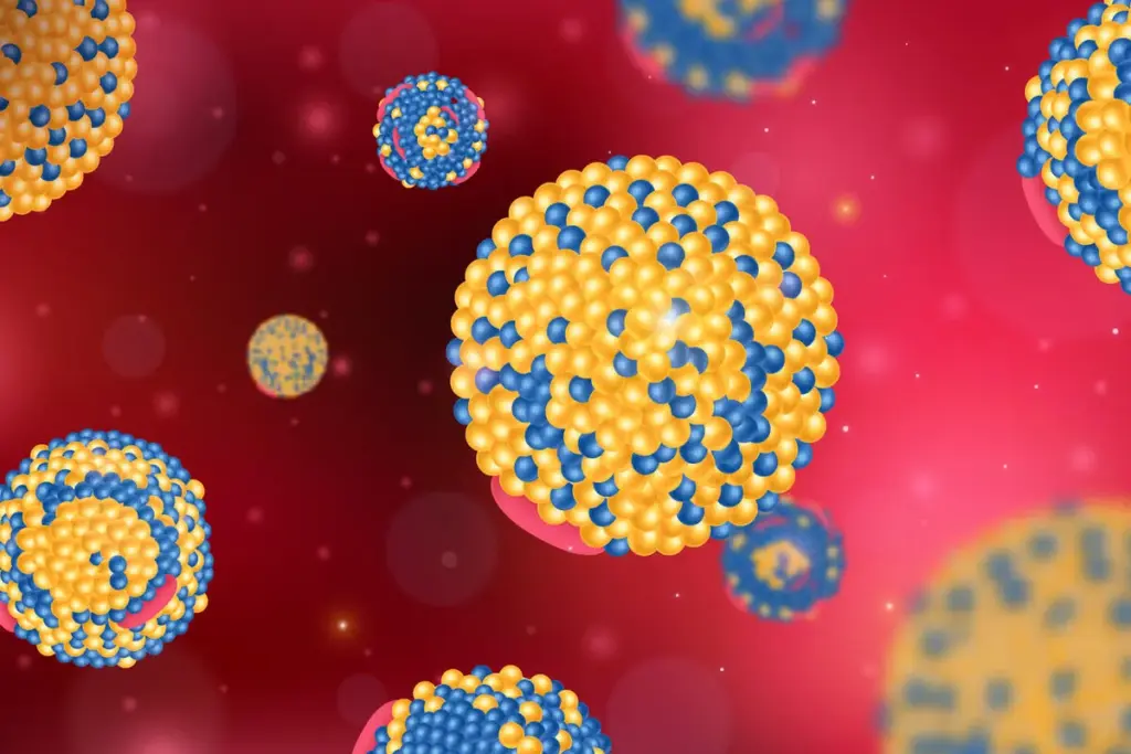 image 14 39 LIV Hospital