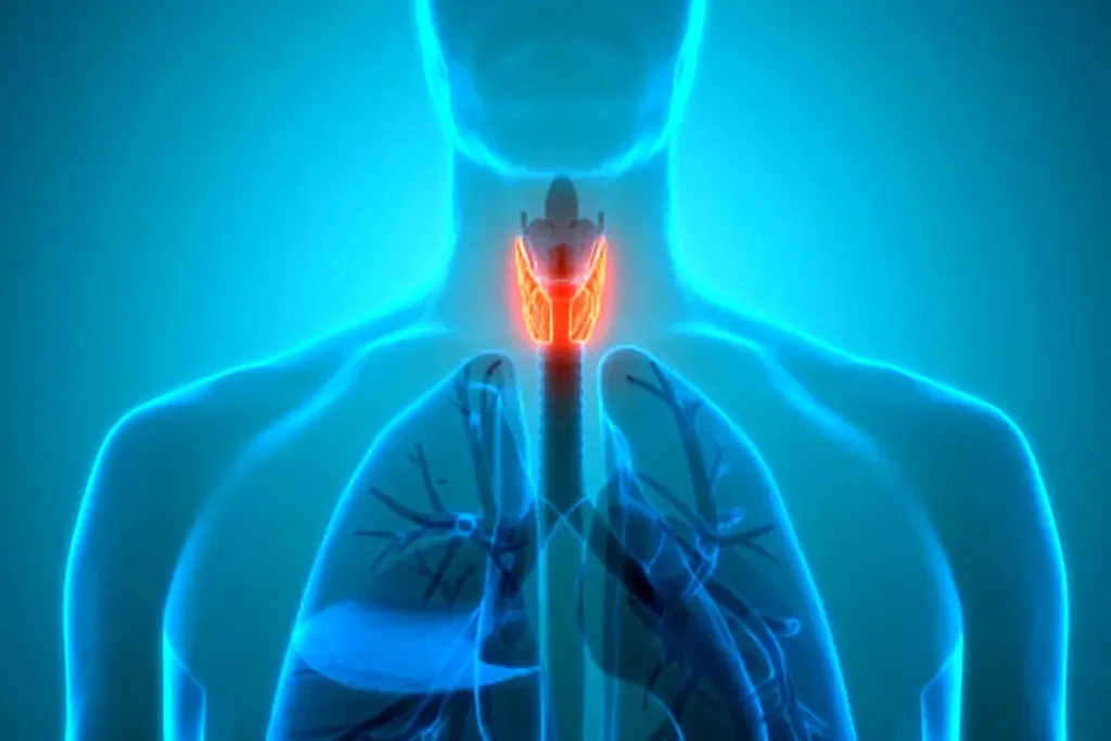 image 32 LIV Hospital