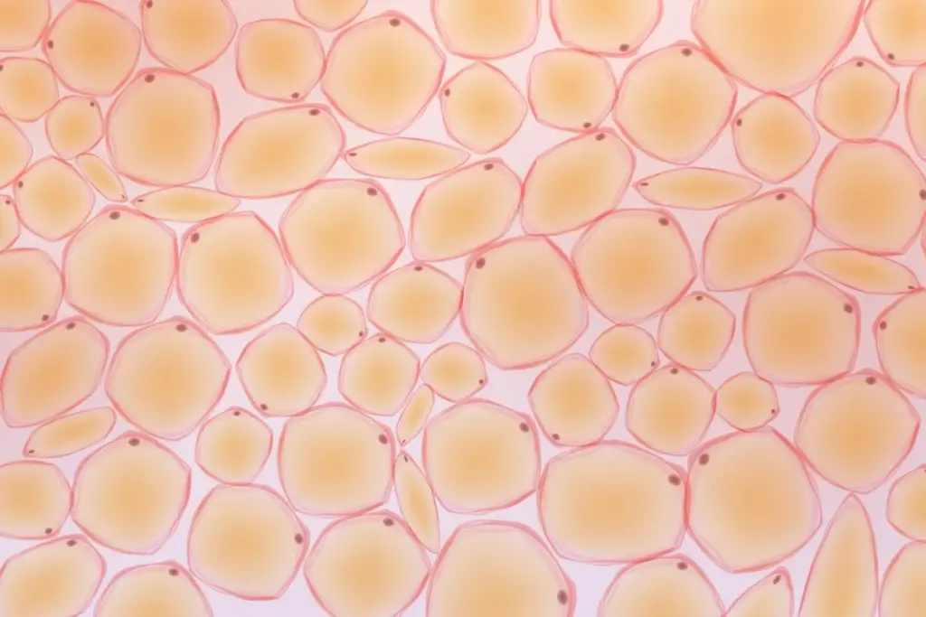 image 1 51 LIV Hospital