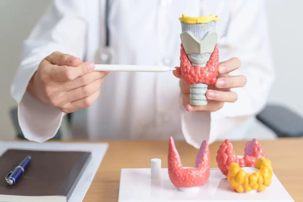 image 7 40 LIV Hospital