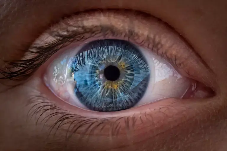 7 Key Parts of Iris Anatomy: Structure & Function