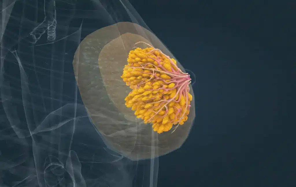 How Big Is 2 Cm Tumor? Scary Growth Facts 3 How Big Is 2 Cm Tumor? Scary Growth Facts
