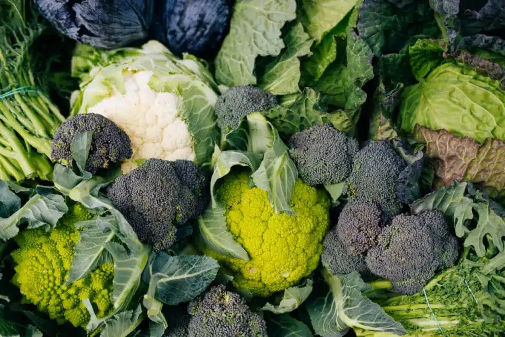 Can You Eat Before A Ct Scan: Veggie Guide