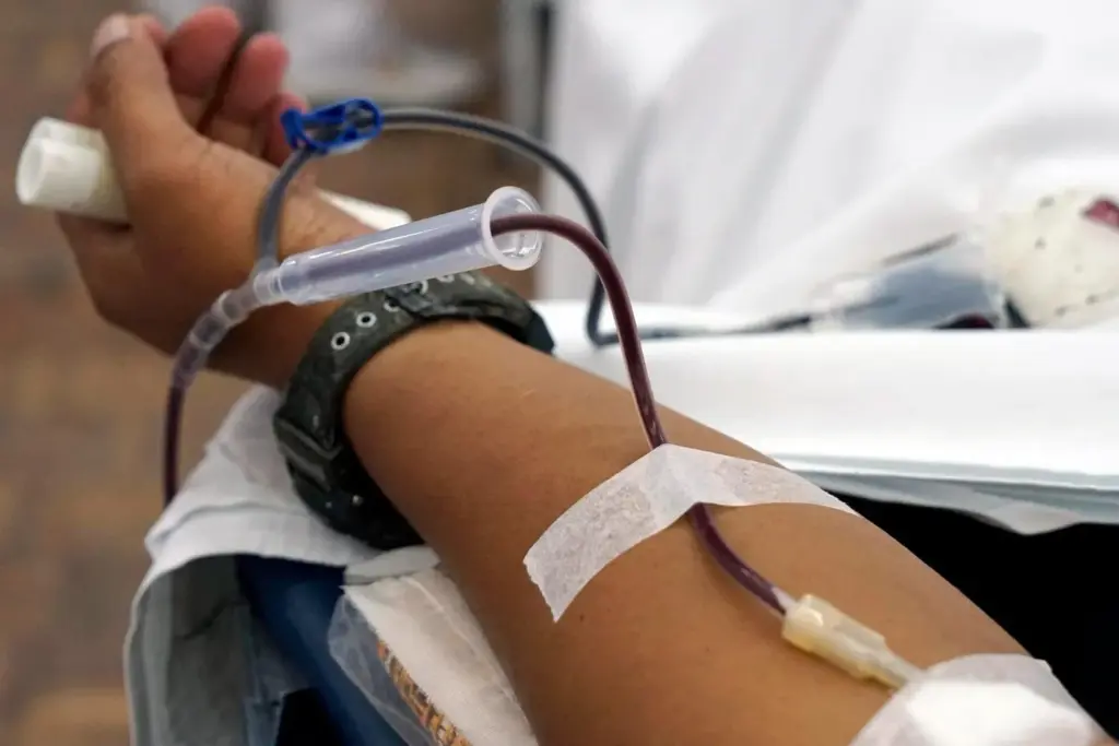 VWD Vs Hemophilia: Can You Donate Safely? 6 VWD Vs Hemophilia: Can You Donate Safely?