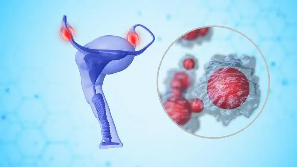 SEP 15558 image 9 LIV Hospital