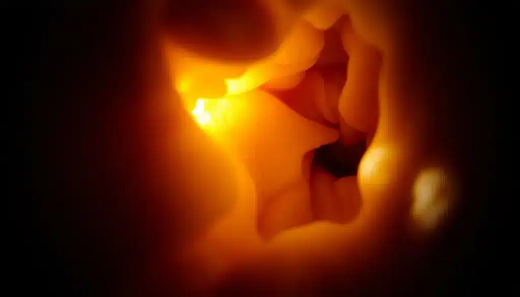 SEP 15451 image 2 LIV Hospital