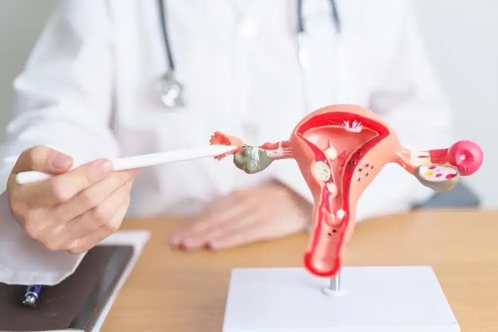 SEP 15564 image 7 LIV Hospital