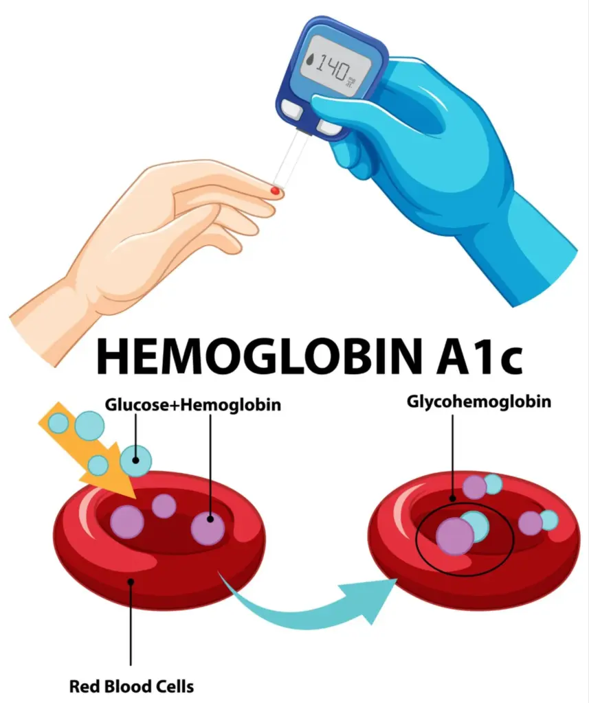 Thalassemia: The Best Ways To Fight Deadly Tired