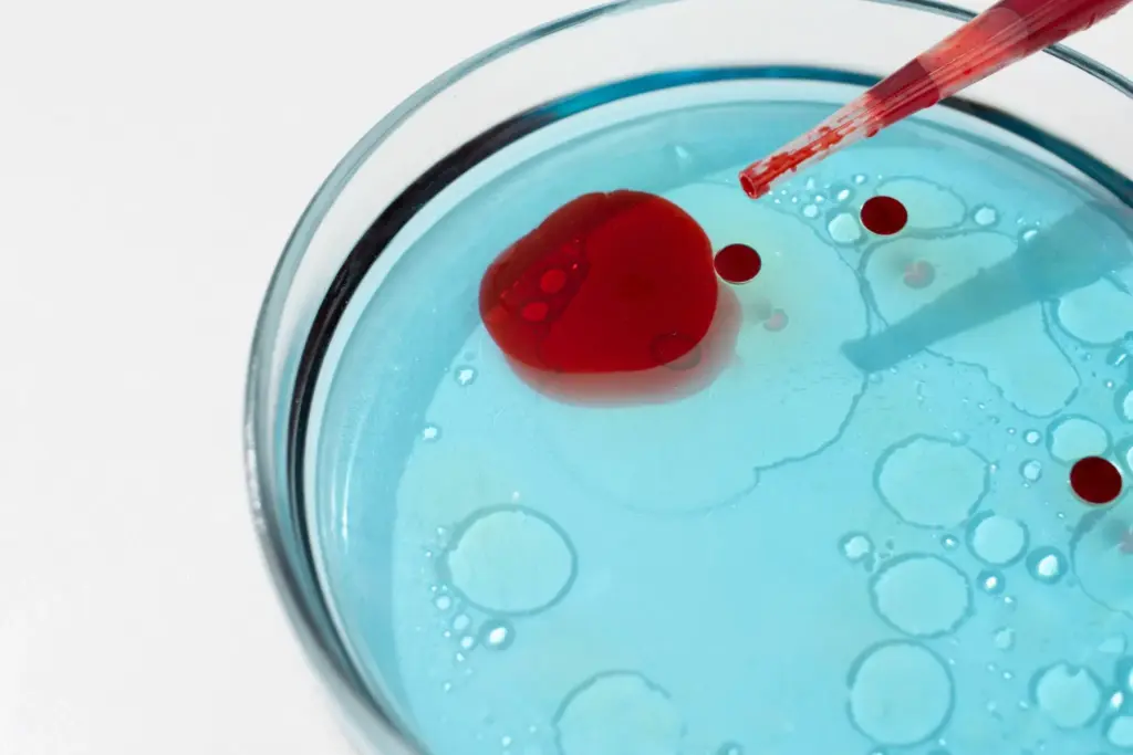 Understanding Thalassemia: An Overview