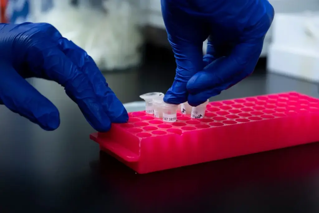 The JAK2 Gene: Function and Importance