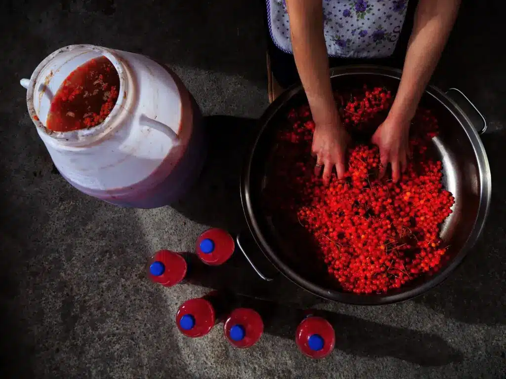 What is Hemolytic Anemia?