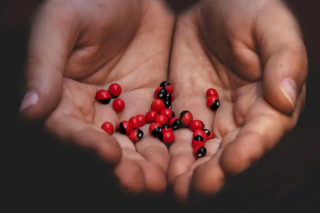 Understanding Hemophilia: A Genetic Blood Disorder