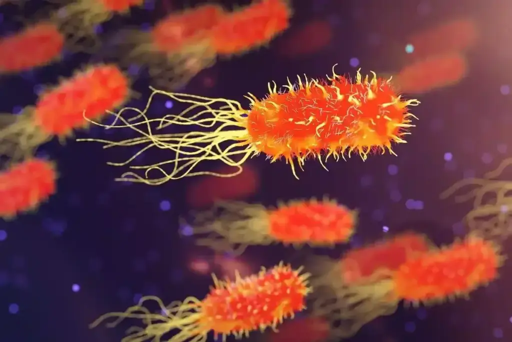 Why Does My Toddler Have a Dry Cough With No Fever? 3 How to Identify Different Types of Toddler Coughs