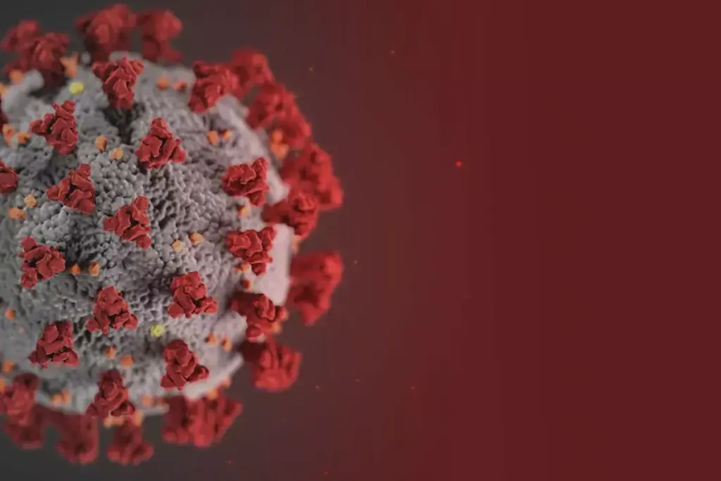 image 8335 LIV Hospital