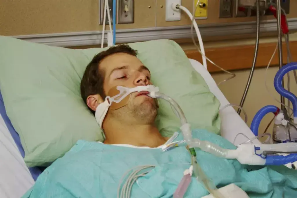 image 8758 LIV Hospital