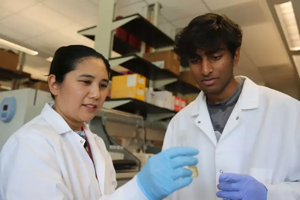 image 8914 LIV Hospital