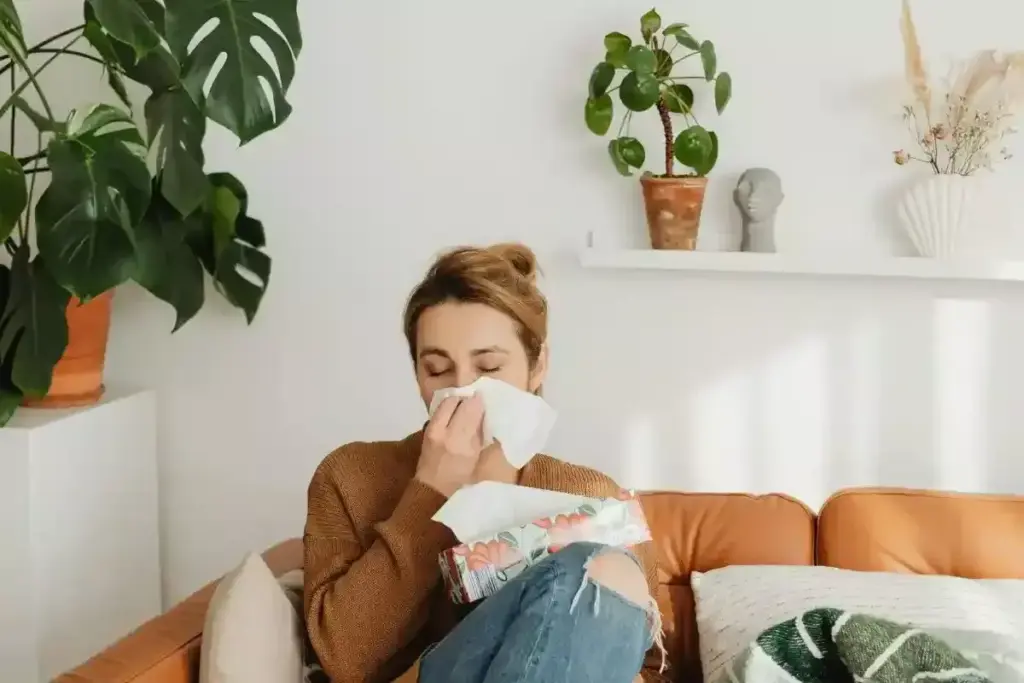 Head Cold vs Allergies: Key Differences