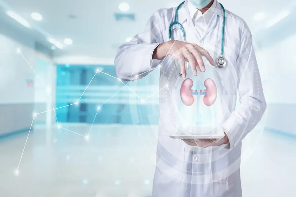 Can You Survive With One Kidney: Best Amazing 3 Common Reasons for Having One Kidney or Partial Kidney