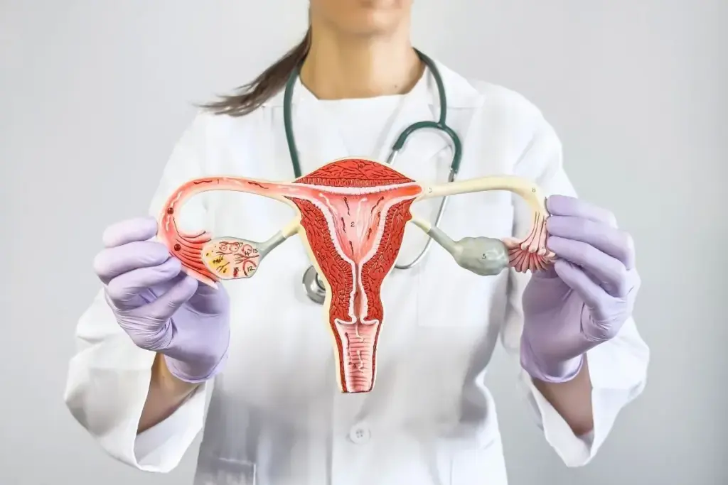 Life Expectancy After Total Hysterectomy: Best